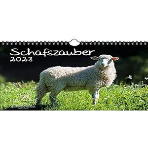 a4 schaap en lam kalender 2023