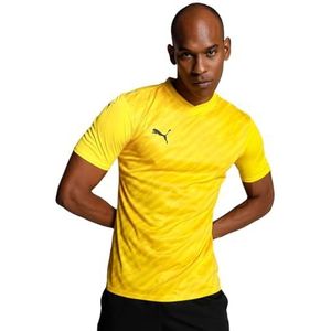 PUMA Teamultimate T-shirt voor heren