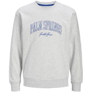 JACK & JONES Jjdetroit Jjdetroit sweatshirt met ronde hals voor heren (1 stuk), Wit-grijs, M