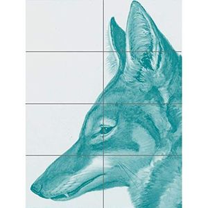 Artery8 Abbysinian Wolf Illustratie XL Poster (8 secties)