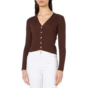 Pinko Tilacino Cardigan Soie Coton Logo en Transparence Pull Femme, L74_marron châtain, XL