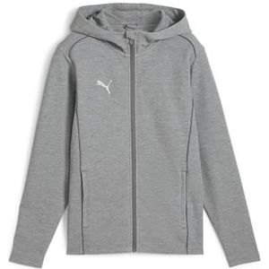 PUMA Veste à capuche unisexe Teamfinal Casuals Jkt Jr