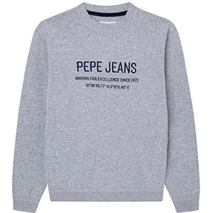 Pepe Jeans keops sweater voor jongens, Grijs Marl
