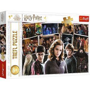 Trefl - Harry Potter en zijn vrienden - puzzel 160 elementen - puzzels met Harry Potter-films, collage, creatief entertainment, plezier voor kinderen vanaf 6 jaar