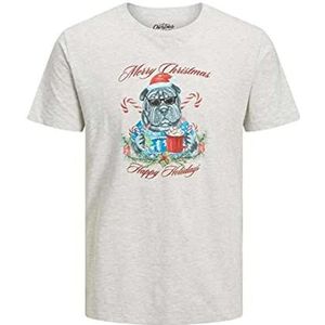 JACK & JONES Jorchristmas Mugshot Tee SS C.n Xmas T-shirt voor heren, Wit-grijs