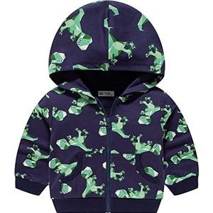 Little Hand Sweatshirt met capuchon voor kinderen, jongens, lange mouwen, trui met capuchon, sweatshirt voor jongens, Dinosaurus 5