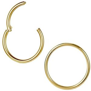 ZS ASTM F136 Titanium piercings, 2 stuks, 6/7/8/9/10/12/14 mm, voor kraakbeen, tragus, helix, hoepel oorbellen, 20 g, 18 g, 16 g, lipringen, neus, septum conch, Titanium