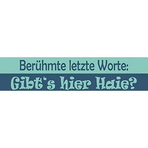 Schatzmix Wandbord ""Worte-Gibt 's Hierhee"", van metaal, 20 x 30 cm
