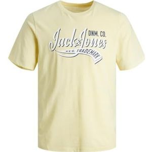 JACK & JONES Jjelogo Ss O-hals 2 kraag Ss24 Sn shirt met lange mouwen voor heren, Franse vanille. Detail: gemengd