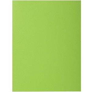 Exacompta - Art.-Nr. 216013E - 50 stuks vaste snelhechtmappen met 2 ROCK""S-kleppen 210 g/m² - krachtige kleuren - PEFC-gecertificeerde mappen - afmetingen 24 x 32 cm voor A4-documenten - Kleur: groen