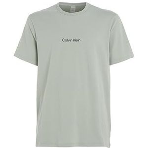 Calvin Klein T-shirt voor heren, grafisch wit, Frosted Fern