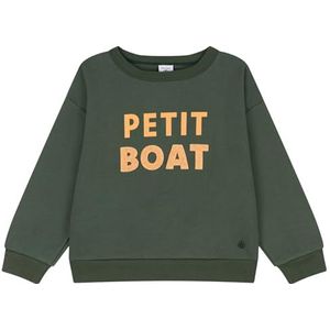 Petit Bateau Sweatshirt Garçon, Vert Avoriaz, 10 ans