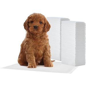 Iris Ohyama, Kattenbakmat voor honden, puppy's, katoenen pulp, polymeer, polyethyleen, L 30 x D 44 x H1 cm, Wegwerpmat, geurremmend, absorberend, sneldrogend, NS-100R, wit