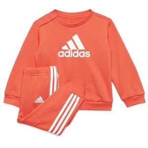 Adidas Badge Of Sport French Terry Set Oranje Jongen