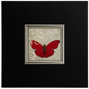 ERGO-PAUL ErgoPaul mini poster papier rood vlinder I hout & eco-leer zwart zonder glas 40x40x1,5cm kunstdruk op canvas met frame eco-graphics eenheidsmaat