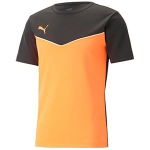 PUMA Individualrise herenshirt