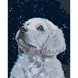 ZUTY 753181 schilderen op nummer puppy wit met spieraam 40 x 50 cm