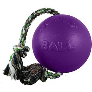 Romp-N-Roll Ball
