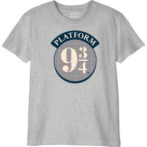 HARRY POTTER T-shirt voor jongens, Grijs Melange