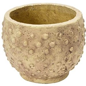 Creative Co-op Bloempot, 52% zand, 48% cement, beige, 22,9 x 22,9 x 17,8 cm (l x b x h)