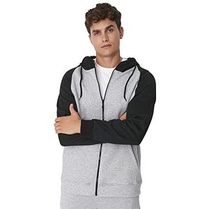 Trendyol Colorblock Regular Hooded Sweatshirt, heren, grijs, XL, grijs.