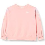 Levi's Kids Lvg Raglan Crew Sweatshirt voor meisjes, 10-16 jaar, Peaches N Cream