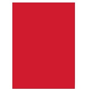 Folia 6320 – 50 vellen gekleurd papier – helder rood – formaat A3 – 130 g/m² – voor het knutselen en creatief ontwerpen van kaarten, raamfoto's en voor scrapbooking