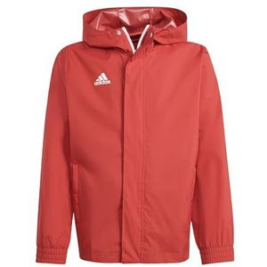 adidas Ent22 Aw Jkty Jack, uniseks, voor kinderen