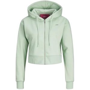 JJXX Sweat à capuche zippé pour femme JXAbbie, Jade rayé, XL