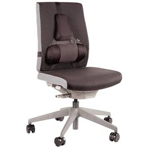 Fellowes Premium Professional Series Rugsteun, ergonomische lendensteun, traagschuim, antibacteriële Microban-bescherming, zwart, 8041801