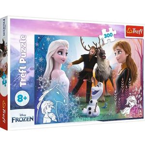 300 stukjes Disney Frozen puzzel (Magische Tijd)