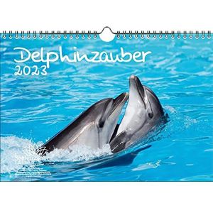 Dolfijn kalender A4 dolfijn dolfijn kalender 2023 dolfijnen gemoedsrust