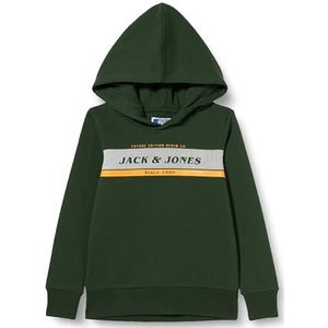 JACK & JONES Jjalex Jnr Hoodie Jongens Hoodie, Mountain View.