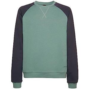 Geox Heren sweatshirt, M Silver Pine/Blue NIG, Regular, Silver Pine/Blauw, M, Zilverkleurige pine/blauw