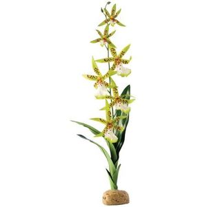 Exoterra decoratieplant voor reptielen, orchidee Arachnis Flos Aeris