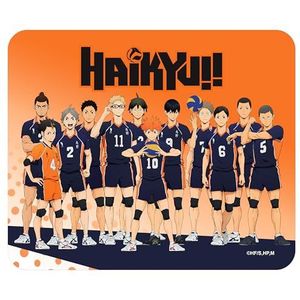 Tapis de la marque ABYstyle modèle Haikyu!! Tappetino Mouse : Karasuno Team 24 x 20 cm
