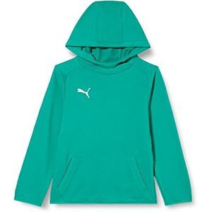 PUMA Liga Casuals Uniseks kinderhoodie