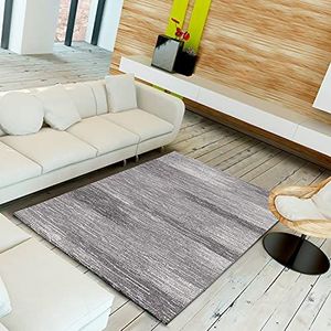 Universal Modern tapijt Amber Gradaded grijs 100% polypropyleen 115x160cm