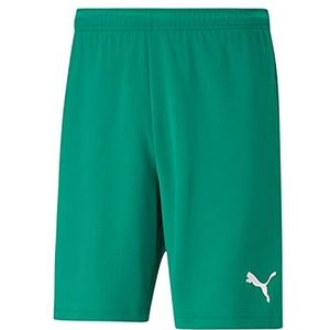 PUMA Teamrise Shorts - Shorts - Sport - Heren