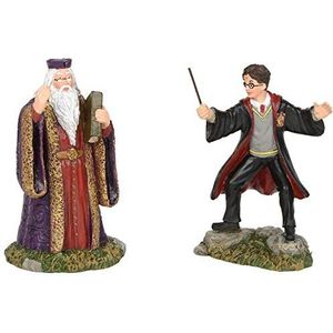 Harry Potter Village Harry and The Headmaster figuur