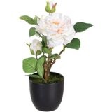 BigBuy Home Plante décorative Polyester Polyéthylène Fer Rose 16 x 16 x 31 cm