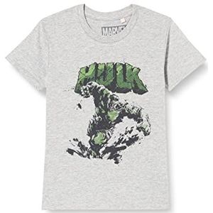 Marvel Bohulkcts041 T-shirt voor jongens (1 stuk), Biege Melange