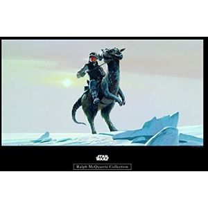 Komar mantiburi Wandfoto Star Wars Classic RMQ Hoth Tauntaun Star Wars WB149-50x40cm Wandafbeelding 50x40cm (breedte x hoogte)