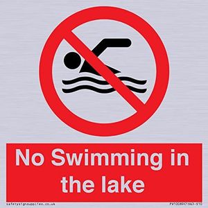 Bord ""No Swimming in the lake"", 100 x 100 mm, S10