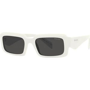Prada zonnebrillen Heren online kopen? Collectie 2023. Beste merken  sunglasses bestellen op beslist.be