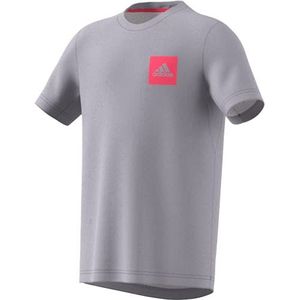 adidas JB TR Aero T-shirt voor kinderen, 1 stuks, Grijs/roze (Griglo/Rozen)