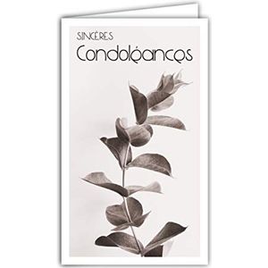 24-1032 Oprechte condoleancekaart, gesloten formaat, 95 x 160 mm, witte envelop, boomtak, eucalyptus, Gunnii, met ronde bladeren, gemaakt in Frankrijk