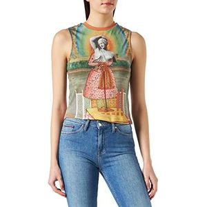 Desigual TS_Dharma T-shirt voor dames, Meerkleurig