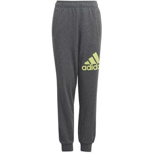 adidas Essentials Regular Fit Big Logo Cotton Broek (1/1) Uniseks Kinderen