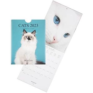 Draeger Paris, kleine wandkalender voor katten, 2023